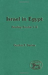 Israel in Egypt (Jsot Supplement Series : No 135)