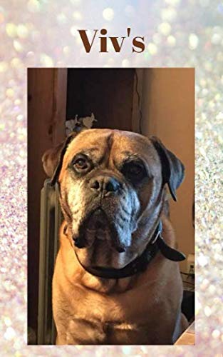 Viv's by Lilac House