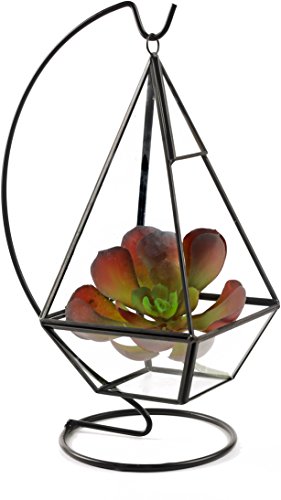 Algopix Similar Product 7 - Circleware 32507 Terraria Terrarium