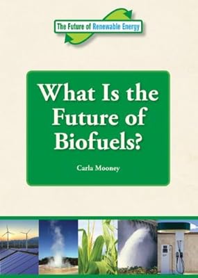 What Is the Future of Biofuels?