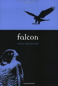 Falcon