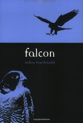 Falcon