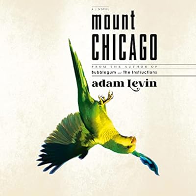 Mount Chicago: A Novel