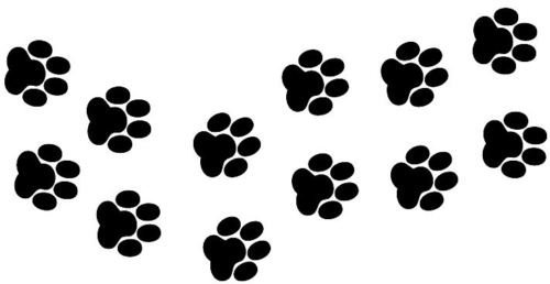 Zampette Adesivi Per Auto Moto CASCHI - Decal Stickers - 3 Pz 5x5 Cm - 7 Pz 3x3 Cm - Novità - 8