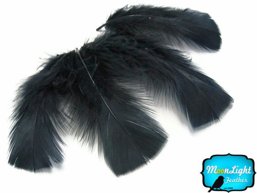 Algopix Similar Product 18 - Turkey Feathers Turkey Plumage  Black
