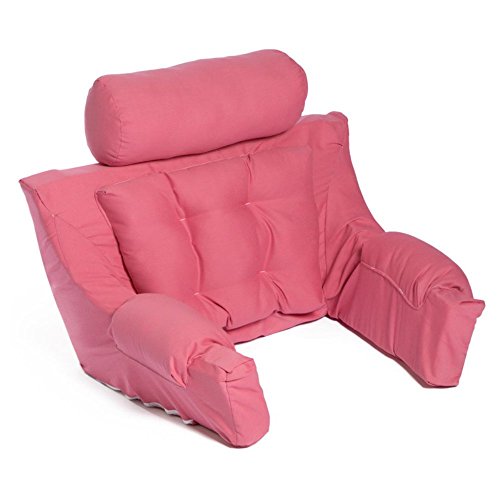 Algopix Similar Product 18 - Deluxe Lounger Backrest Color Coral