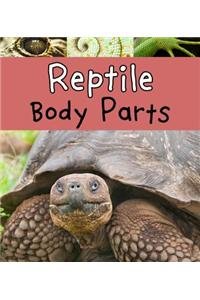 Reptile Body Parts by Clare Lewis