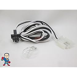 Spa Hot Tub Light 12V 8' Wire Bulb Part Amp Plug 2 Pin How To Video