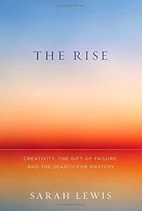 The Rise: Creativity, the Gift of Failure, and the Search for Mastery
