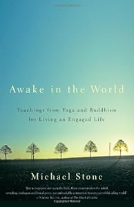 Awake in the World: Teachings from Yoga and Buddhism for Living an Engaged Life by Michael Stone