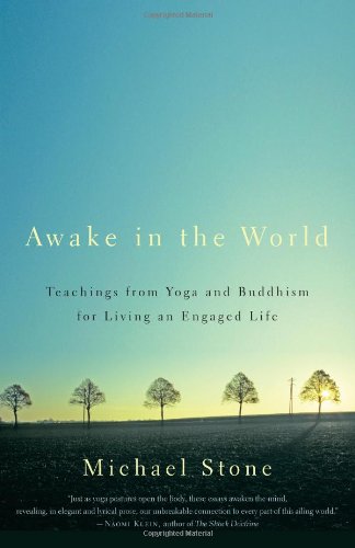 Awake in the World: Teachings from Yoga and Buddhism for Living an Engaged Life by Michael Stone