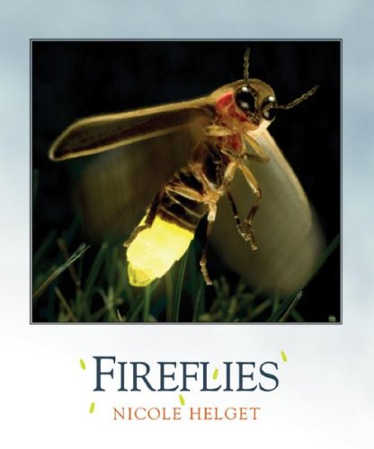 Fireflies (Bugbooks) by Nicole Helget