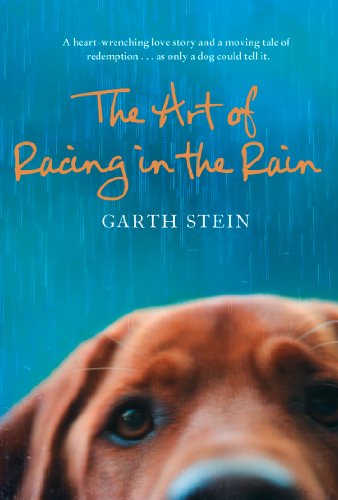 The Art of Racing in the Rain by Gillian Flynn