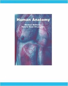 Human Anatomy With Olc Bind-In Card