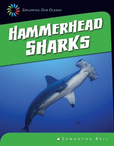 Hammerhead Sharks by Samantha Bell