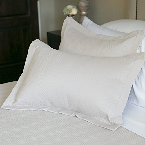 Algopix Similar Product 6 - Jennifer Adams Home Eternal Matisse