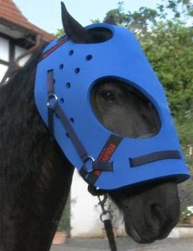 Algopix Similar Product 16 - EquiVizor MultiPurpose Helmet for