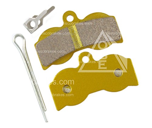 Algopix Similar Product 17 - 