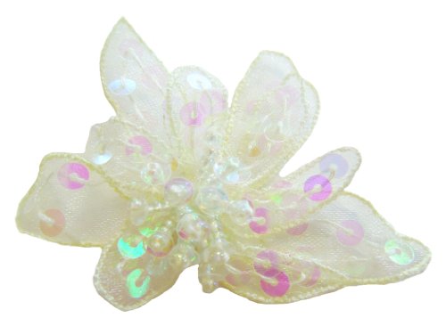 Algopix Similar Product 8 - Cuteque International 6Piece Organza