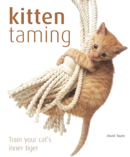 Kitten Taming: Train Your Cat's Inner Tiger by David Taylor