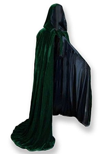 Algopix Similar Product 20 - Artemisia Designs Velvet Renaissance