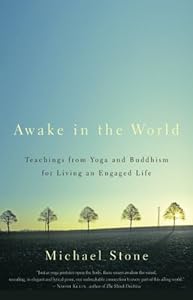 Awake in the World: Teachings from Yoga and Buddhism for Living an Engaged Life