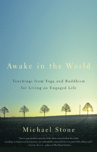 Awake in the World: Teachings from Yoga and Buddhism for Living an Engaged Life by Michael Stone