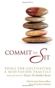 Commit to Sit: Tools for Cultivating a Meditation Practice from the Pages of Tricycle