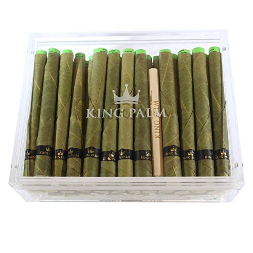 Algopix Similar Product 20 - King Palm XXL Humidor Natural Palm