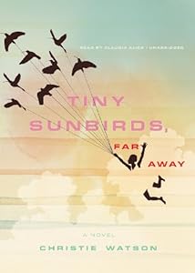 Tiny Sunbirds, Far Away: A Novel