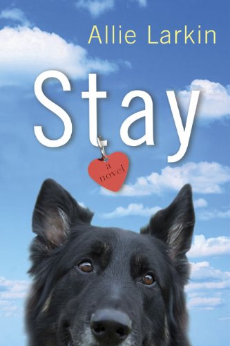 Stay by Allie Larkin