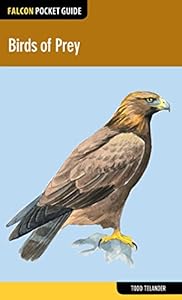 Birds of Prey