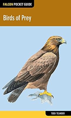 Birds of Prey
