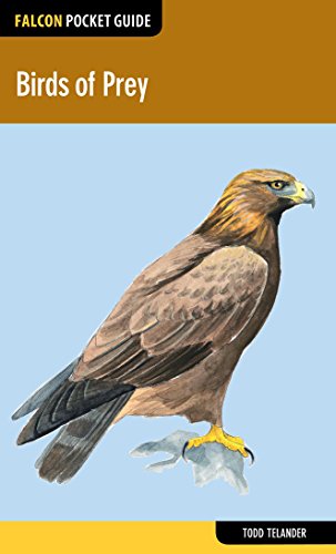Birds of Prey by Todd Telander