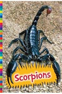 Scorpions