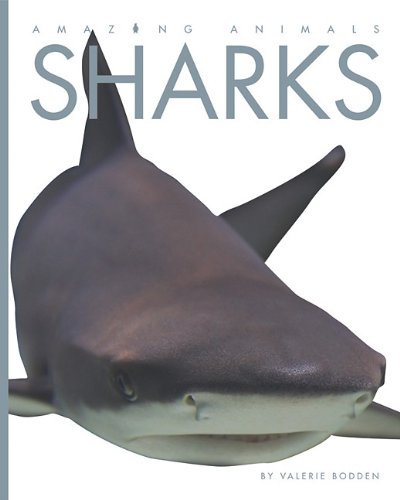 Sharks by Valerie Bodden