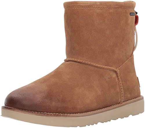 Algopix Similar Product 3 - 