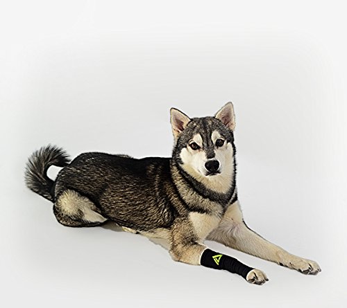 Canine Dogs Compression Sleeve Injury Support fatigue, joint, tendon and ligament laxity (instability) (Black, X-Small)