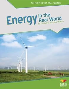 Energy in the Real World by Christine Zuchora-Walske