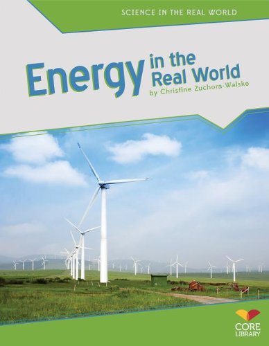 Energy in the Real World by Christine Zuchora-Walske
