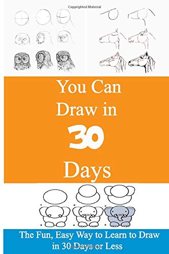 You Can Draw in 30 Days: The Talent, Easy Way to Learn to Draw in 30 Days or Less by nicola jusis