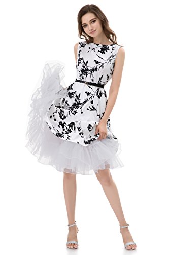 Algopix Similar Product 17 - 