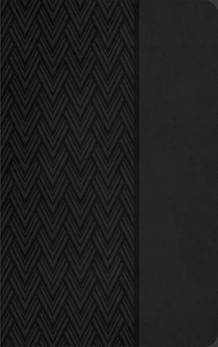 Holy Bible: King James Version; Imitation Leather by Thomas Nelson Publishers
