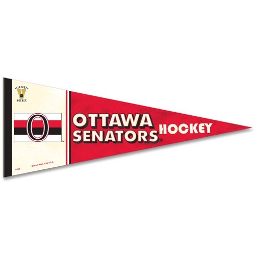 Algopix Similar Product 15 - WinCraft NHL 63300081 Ottawa Senators