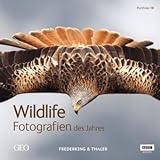 Portfolio 19. Wildlife Fotografien des Jahres - bbc