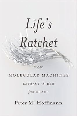 Life's Ratchet: How Molecular Machines Extract Order from Chaos