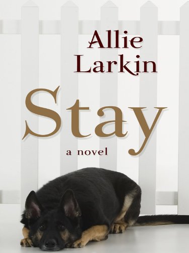 Stay by Allie Larkin