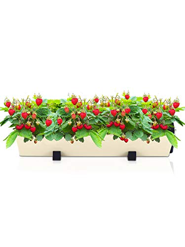 Algopix Similar Product 3 - Self Watering Planter for Vertical