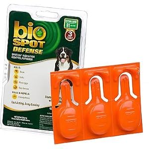 TICKS