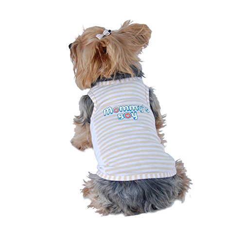 Algopix Similar Product 15 - 